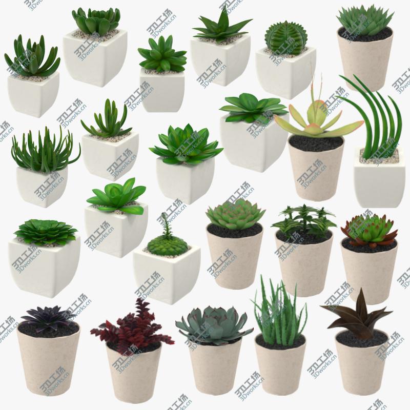 images/goods_img/2021040233/23 Succulents Collection/1.jpg